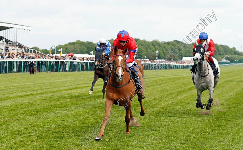 La-Lune-0003 
 LA LUNE (left, David Probert) beats CABALETTA (right) in The Betway Pinnacle Stakes
Haydock 29 May 2021 - Pic Steven Cargill / Racingfotos.com