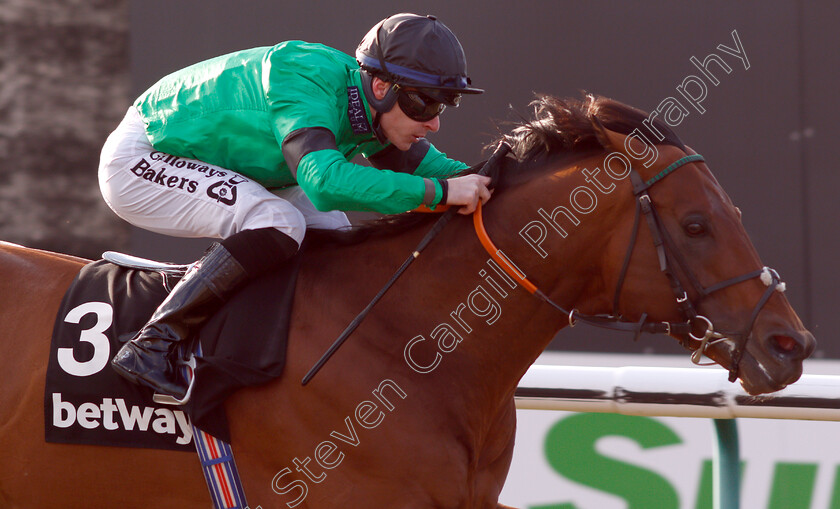 Kachy-0007 
 KACHY (Richard Kingscote) wins The Betway Cleves Stakes
Lingfield 2 Feb 2019 - Pic Steven Cargill / Racingfotos.com