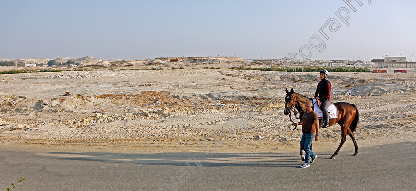 Penja-0001 
 PENJA exercising in preparation for Friday's Bahrain International Trophy
Sakhir Racecourse, Bahrain 17 Nov 2021 - Pic Steven Cargill / Racingfotos.com