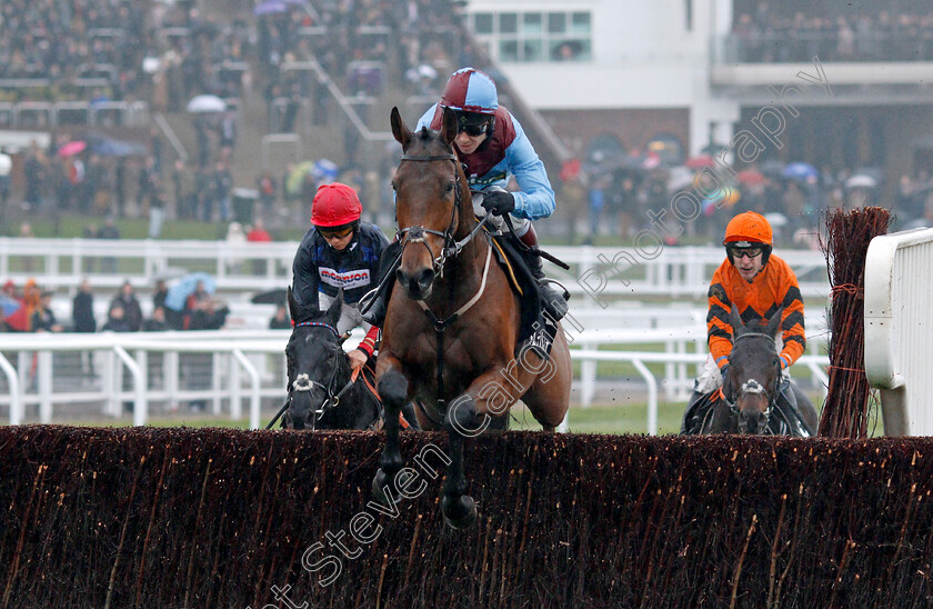 Ballyoptic-0001 
 BALLYOPTIC (Richard Johnson) Cheltenham 18 Nov 2017 - Pic Steven Cargill / Racingfotos.com