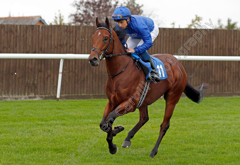 Yukon-Star-0001 
 YUKON STAR (William Buick)
Leicester 12 Oct 2021 - Pic Steven Cargill / Racingfotos.com