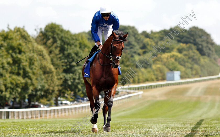 Dreamfield-0001 
 DREAMFIELD (James Doyle)
Newmarket 14 Jul 2018 - Pic Steven Cargill / Racingfotos.com