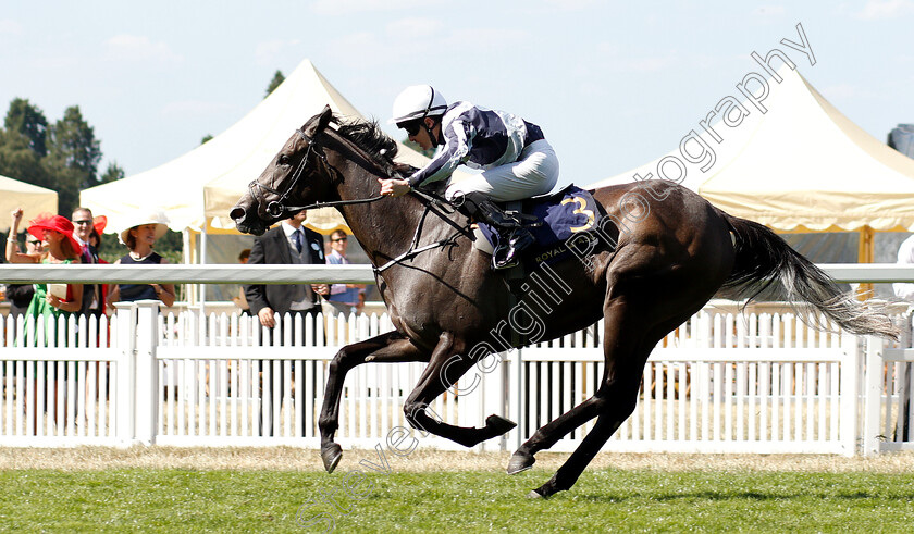 Alpha-Centauri-0005 
 ALPHA CENTAURI (Colm O'Donoghue) wins The Coronation Stakes
Royal Ascot 22 Jun 2018 - Pic Steven Cargill / Racingfotos.com