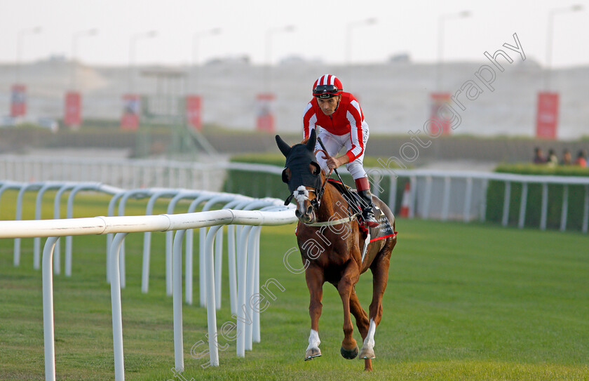 Emperor-Of-The-Sun-0001 
 EMPEROR OF THE SUN (Lee Newman)
Sakhir Racecourse, Bahrain 19 Nov 2021 - Pic Steven Cargill / Racingfotos.com