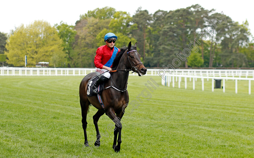 Queenlet-0001 
 QUEENLET (Tom Marquand)
Ascot 27 Apr 2022 - Pic Steven Cargill / Racingfotos.com