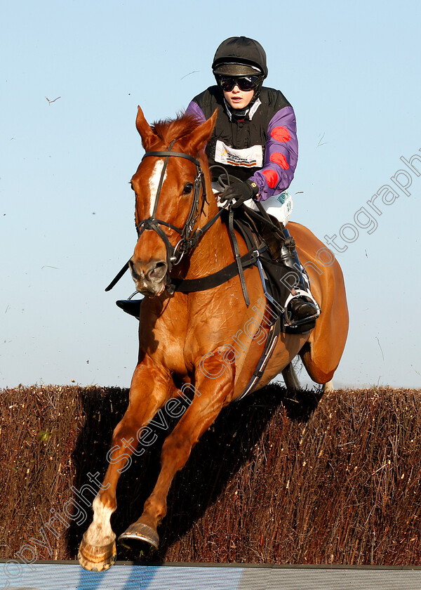 Shannon-Bridge-0001 
 SHANNON BRIDGE (Bridget Andrews)
Cheltenham 17 Nov 2018 - Pic Steven Cargill / Racingfotos.com