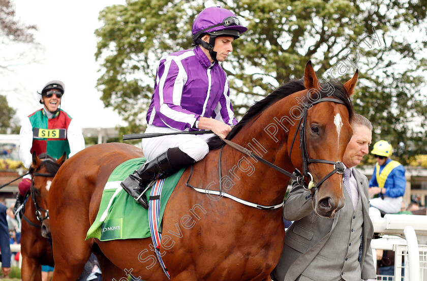 Saxon-Warrior-0002 
 SAXON WARRIOR (Ryan Moore)
York 22 Aug 2018 - Pic Steven Cargill / Racingfotos.com