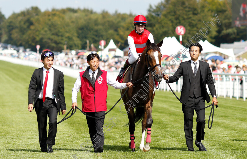 Deirdre-0016 
 DEIRDRE (Oisin Murphy) after The Qatar Nassau Stakes
Goodwood 1 Aug 2019 - Pic Steven Cargill / Racingfotos.com