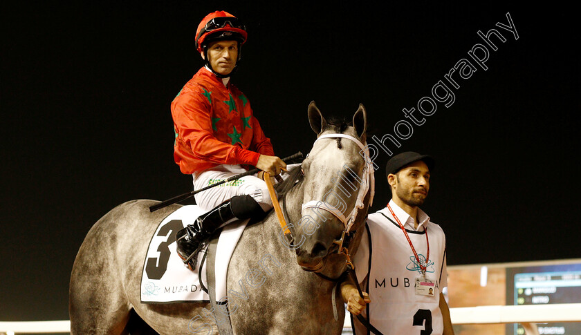 Al-Seel-Legacy s-0002 
 AL SEEL LEGACY'S (Pat Dobbs)
Meydan 10 Jan 2019 - Pic Steven Cargill / Racingfotos.com