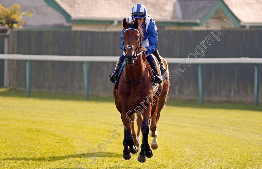 Fakhoor-0001 
 FAKHOOR (Jim Crowley) Yarmouth 16 Oct 2017 - Pic Steven Cargill / Racingfotos.com