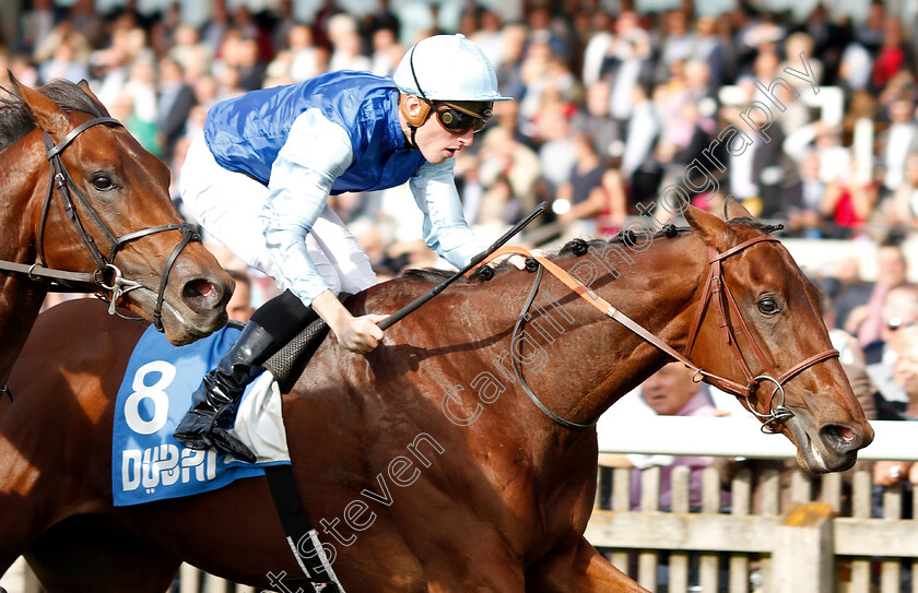 Persian-King-0012 
 PERSIAN KING (Pierre-Charles Boudot) wins The Masar Godolphin Autumn Stakes
Newmarket 13 Oct 2018 - Pic Steven Cargill / Racingfotos.com