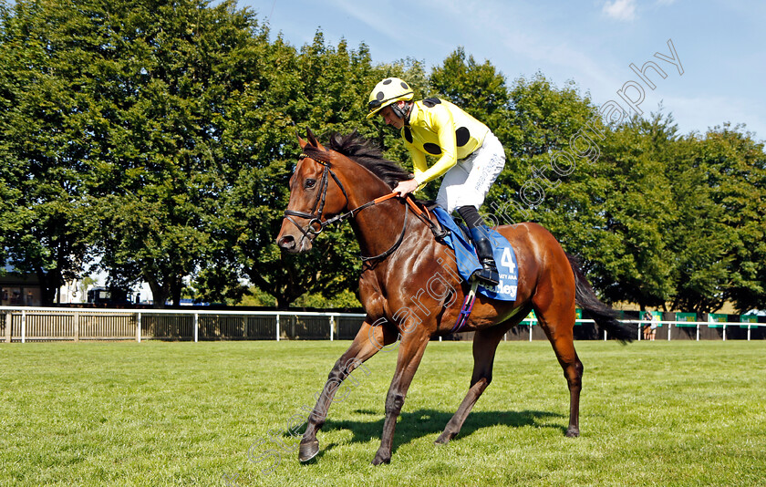 Emaraaty-Ana 
 EMARAATY ANA (Tom Eaves)
Newmarket 9 Jul 2022 - Pic Steven Cargill / Racingfotos.com