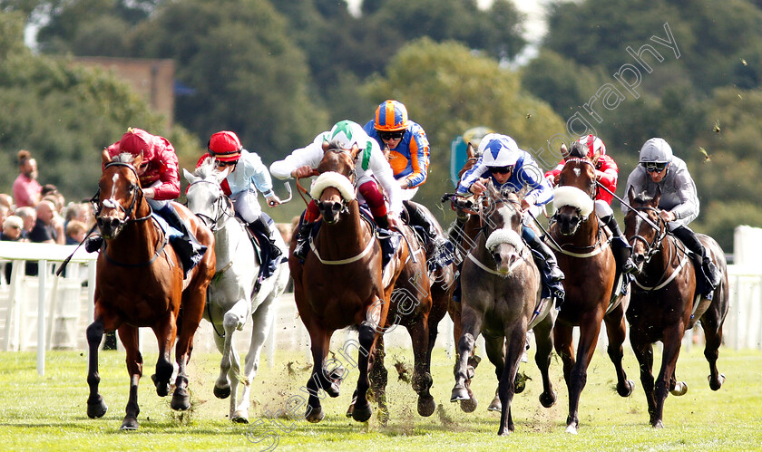 Emaraaty-Ana-0001 
 EMARAATY ANA (centre, Frankie Dettori) beats LEGENDS OF WAR (left) in The Al Basti Equiworld Gimcrack Stakes
York 24 Aug 2018 - Pic Steven Cargill / Racingfotos.com