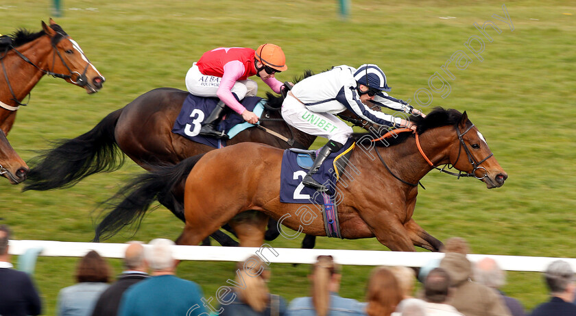 Grandfather-Tom-0002 
 GRANDFATHER TOM (Luke Morris) wins The Injured Jockeys Fund Handicap
Yarmouth 23 Apr 2019 - Pic Steven Cargill / Racingfotos.com