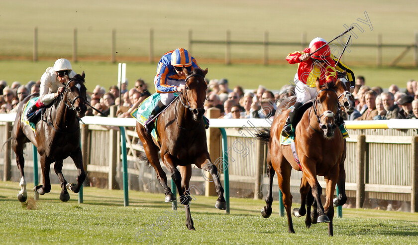 Iridessa-0005 
 IRIDESSA (Wayne Lordan) beats HERMOSA (left) in The bet365 Fillies Mile
Newmarket 12 Oct 2018 - Pic Steven Cargill / Racingfotos.com