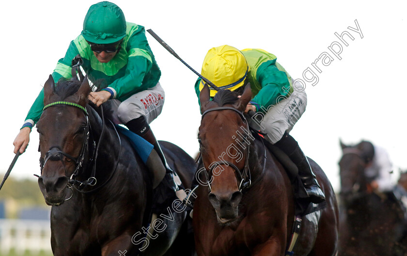 Metal-Merchant-0006 
 METAL MERCHANT (right, Rossa Ryan) beats JEFF KOONS (left) in The Racing Welfare Classified Stakes
Ascot 6 Oct 2023 - Pic Steven Cargill / Racingfotos.com