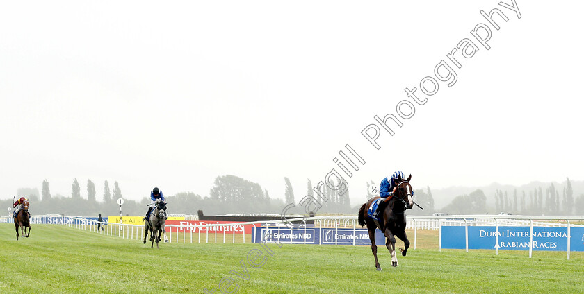 No-And-No-Al-Maury-0001 
 NO AND NO AL MAURY (Francois Xavier Bertras) wins The UAE Embassy In London International Stakes
Newbury 29 Jul 2018 - Pic Steven Cargill / Racingfotos.com