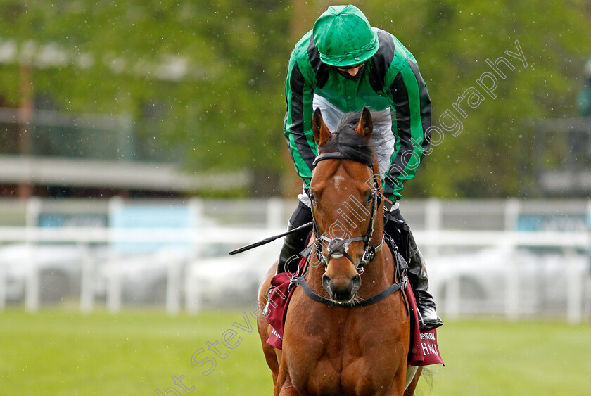 Century-Dream-0001 
 CENTURY DREAM (James Doyle)
Newbury 15 May 2021 - Pic Steven Cargill / Racingfotos.com