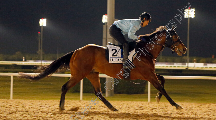 Lauda-Sion-0002 
 LAUDA SION training for the Godolphin Mile 
Meydan, Dubai, 21 Mar 2023 - Pic Steven Cargill / Racingfotos.com