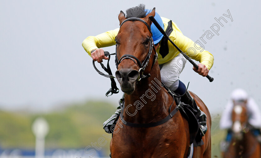 Quddwah-0001 
 QUDDWAH (William Buick) wins The Bet With Ascot Donation Scheme Paradise Stakes
Ascot 1 May 2024 - Pic Steven Cargill / Racingfotos.com