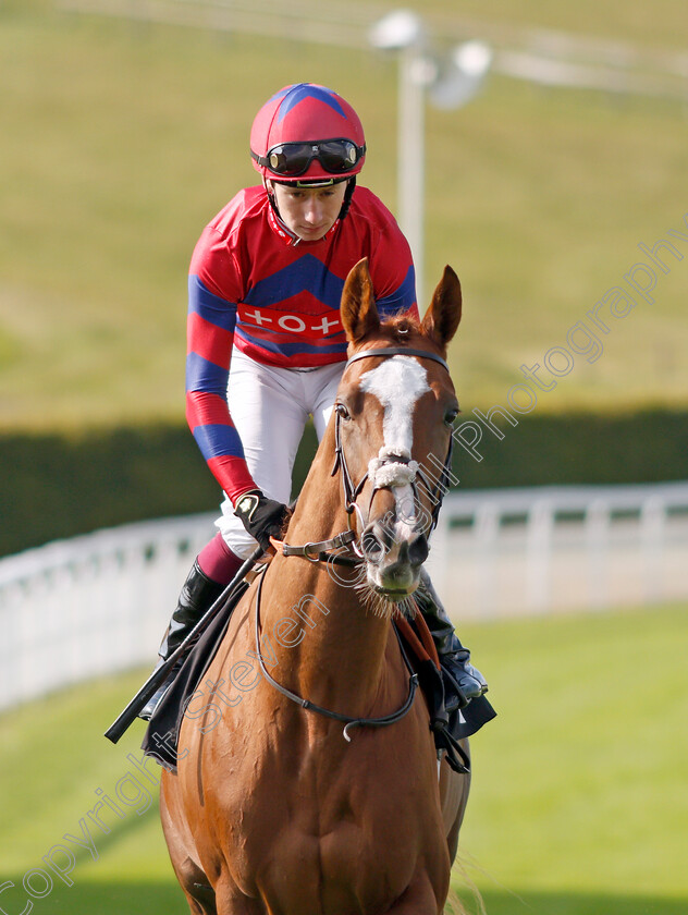 King-Vega-0001 
 KING VEGA (Oisin Murphy)
Goodwood 22 Sep 2021 - Pic Steven Cargill / Racingfotos.com