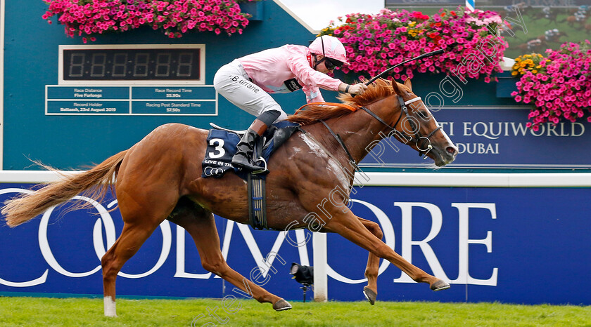 Live-In-The-Dream-0001 
 LIVE IN THE DREAM (Sean Kirrane) wins The Coolmore Nunthorpe Stakes
York 25 Aug 2023 - Pic Steven Cargill / Racingfotos.com