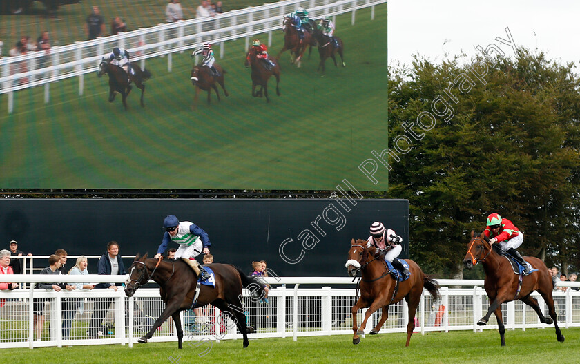 Neenee s-Choice-0001 
 NEENEE'S CHOICE (Oisin Murphy) wins The Molson Coors Handicap
Salisbury 2 Sep 2021 - Pic Steven Cargill / Racingfotos.com