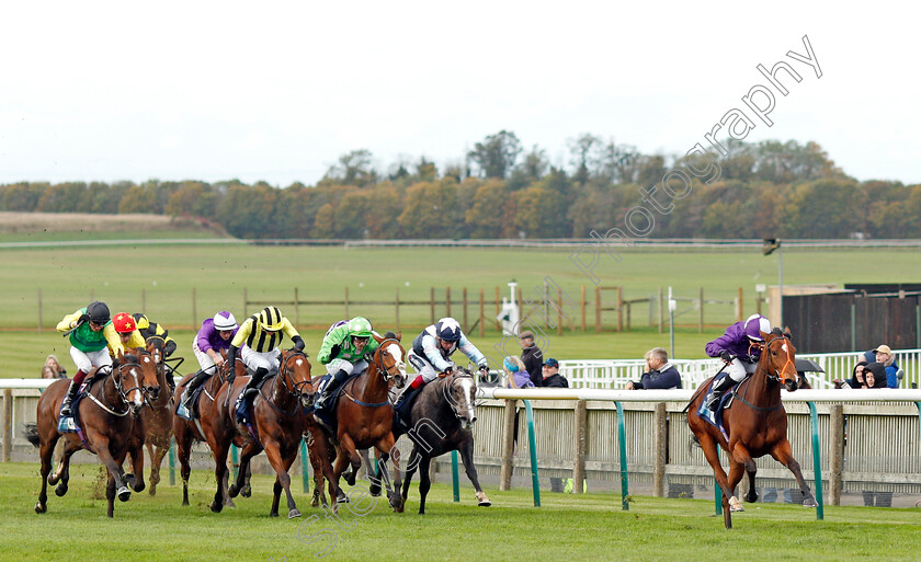 Symphony-Perfect-0001 
 SYMPHONY PERFECT (Hayley Turner) wins The Irish Stallion Farms EBF Bosra Sham Fillies Stakes
Newmarket 29 Oct 2021 - Pic Steven Cargill / Racingfotos.com