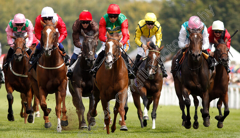 Billesdon-Brook-0005 
 BILLESDON BROOK (centre, Sean Levey) beats PERFECTION (left) and JUBILOSO (right) in The Theo Fennell Oak Tree Stakes
Goodwood 2 Aug 2019 - Pic Steven Cargill / Racingfotos.com