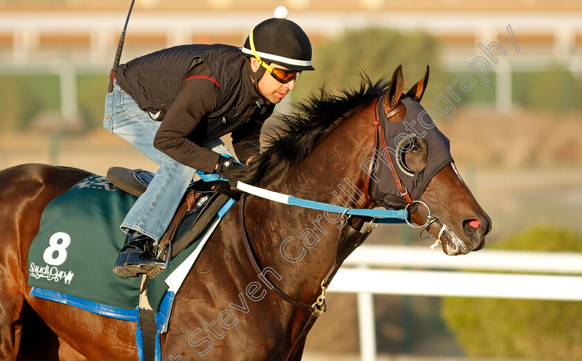 Midnight-Bourbon-0004 
 MIDNIGHT BOURBON training for The Saudi Cup
King Abdulaziz Racetrack, Riyadh, Saudi Arabia 22 Feb 2022 - Pic Steven Cargill / Racingfotos.com