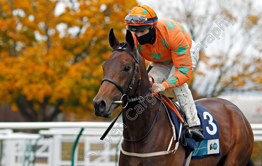 Love-Is-Golden-0001 
 LOVE IS GOLDEN (Richard Kingscote)
Newmarket 21 Oct 2020 - Pic Steven Cargill / Racingfotos.com