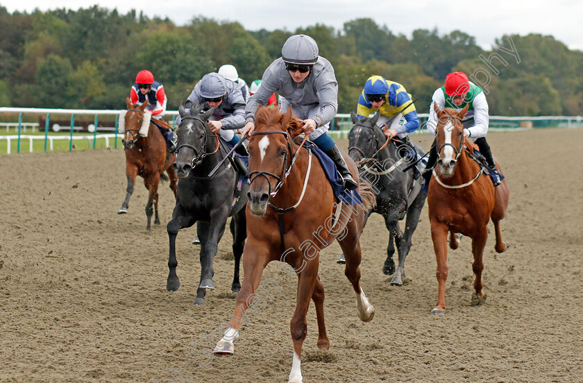 Rapture-0003 
 RAPTURE (Hollie Doyle) wins The Download The Star Sports App Now! Fillies Handicap
Lingfield 3 Oct 2019 - Pic Steven Cargill / Racingfotos.com