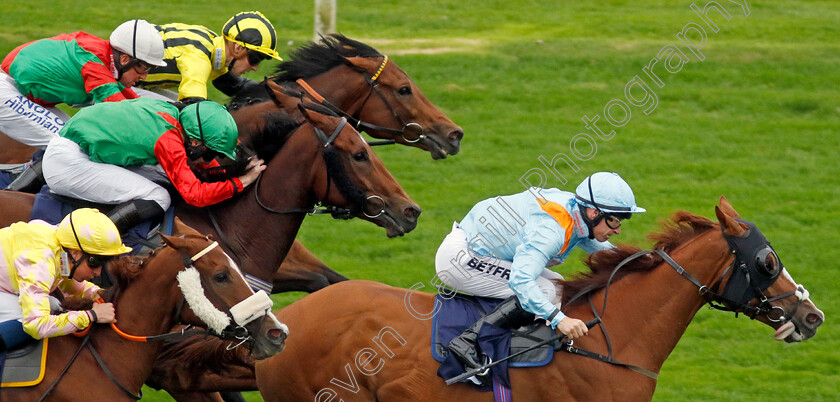 How-Impressive-0001 
 HOW IMPRESSIVE (Richard Kingscote) wins The Sea Deer Handicap
Yarmouth 20 Sep 2023 - Pic Steven Cargill / Racingfotos.com