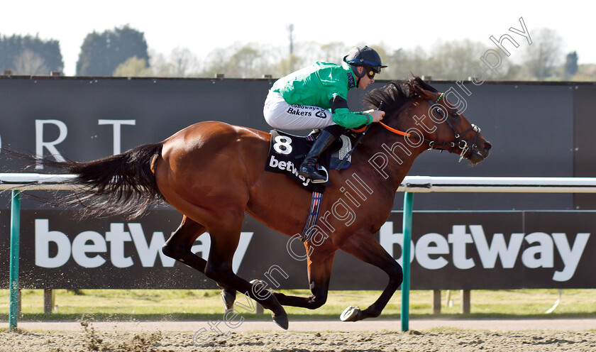 Kachy-0010 
 KACHY (Richard Kingscote) wins The Betway All-Weather Sprint Championships Stakes
Lingfield 19 Apr 2019 - Pic Steven Cargill / Racingfotos.com