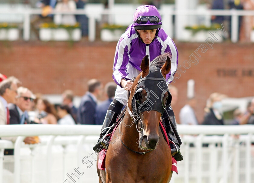 Order-Of-Australia-0002 
 ORDER OF AUSTRALIA (Ryan Moore)
Goodwood 28 Jul 2021 - Pic Steven Cargill / Racingfotos.com