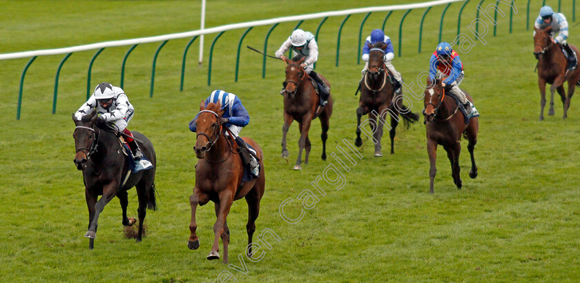 Zeyaadah-0003 
 ZEYAADAH (Jim Crowley) beats MYSTERY ANGEL (left) in The British Stallion Studs EBF Montrose Fillies Stakes
Newmarket 31 Oct 2020 - Pic Steven Cargill / Racingfotos.com