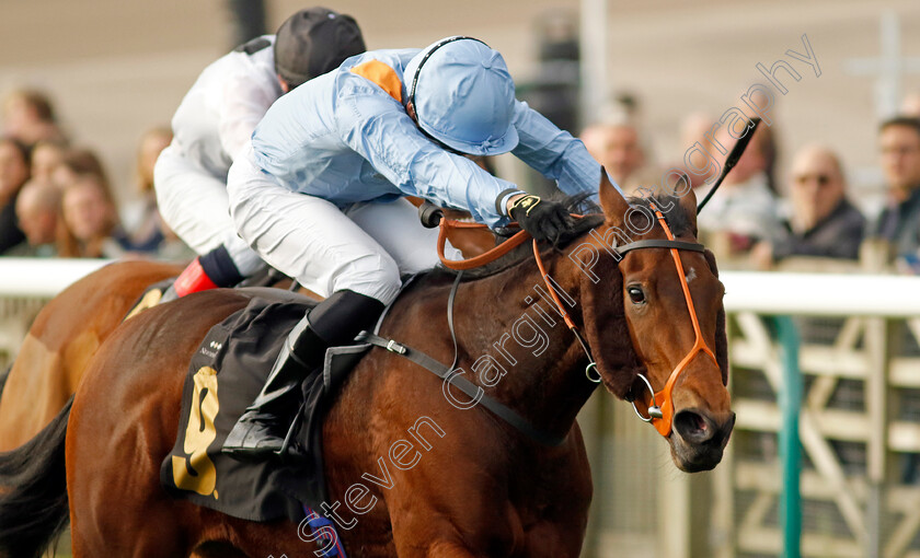 Ziggy s-Phoenix-0002 
 ZIGGY'S PHOENIX (Sean Levey) wins The My Pension Expert Fillies Handicap
Newmarket 23 Oct 2024 - Pic Steven Cargill / Racingfotos.com