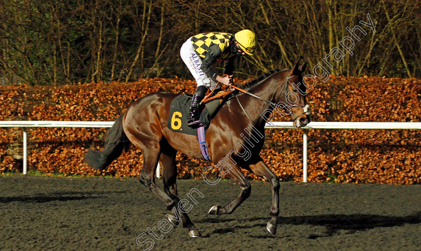 Oo-De-Lally-0001 
 OO DE LALLY (Ryan Moore)
Kempton 3 Mar 2021 - Pic Steven Cargill / Racingfotos.com