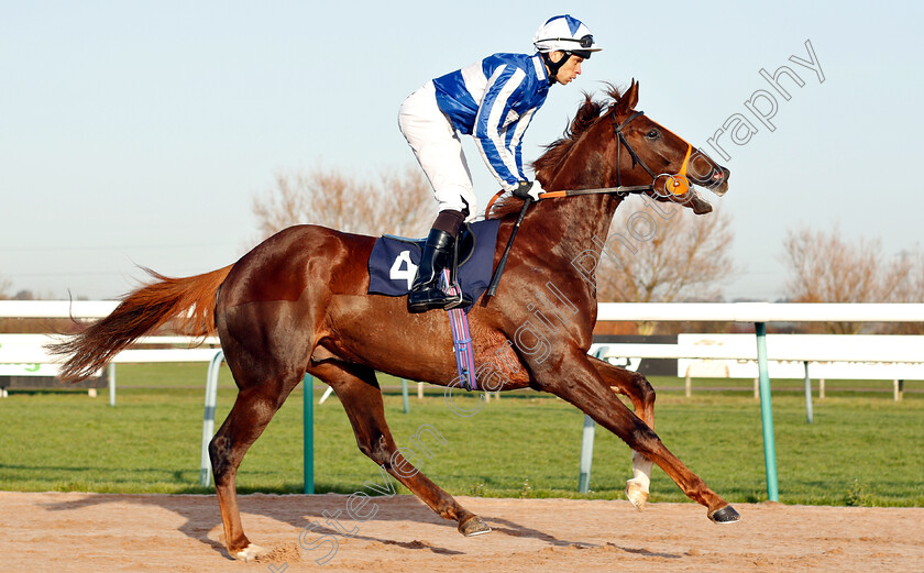 Fox-Kasper-0001 
 FOX KASPER (Sean Levey)
Southwell 11 Dec 2018 - Pic Steven Cargill / Racingfotos.com