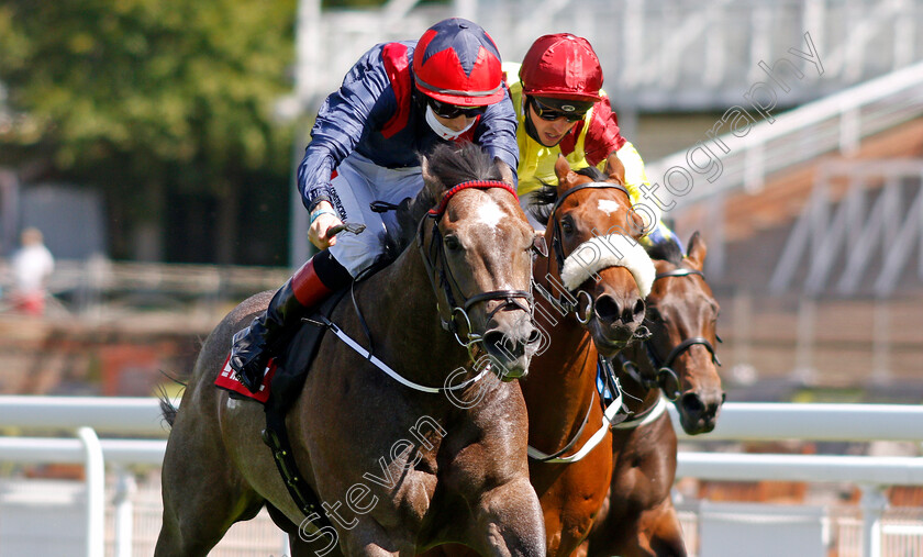 Steel-Bull-0005 
 STEEL BULL (left, Colin Keane) beats BEN MACDUI (right) in The Markel Insurance Molecomb Stakes
Goodwood 29 Jul 2020 - Pic Steven Cargill / Racingfotos.com