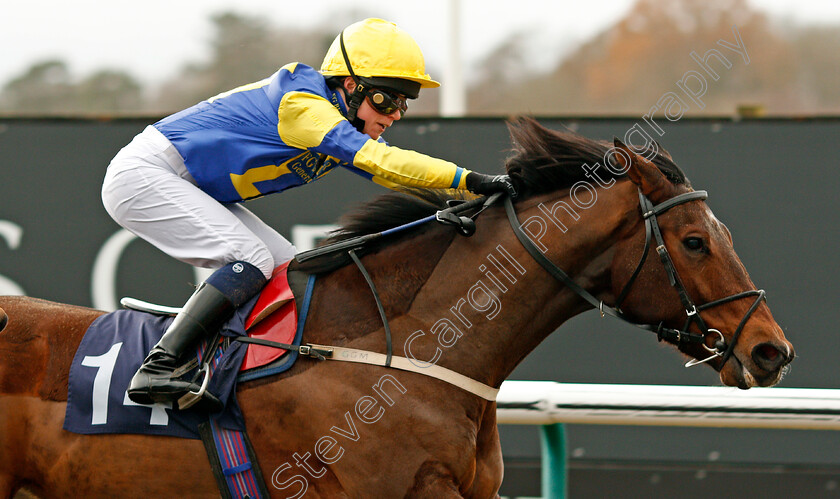 Shyron-0004 
 SHYRON (Jane Elliott) wins The Play Starburst Slot At sunbets.co.uk/vegas Handicap Lingfield 13 Dec 2017 - Pic Steven Cargill / Racingfotos.com