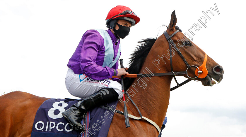 Seattle-Rock-0002 
 SEATTLE ROCK (P J McDonald)
Newmarket 2 May 2021 - Pic Steven Cargill / Racingfotos.com