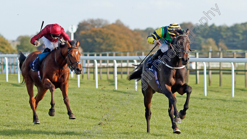 Midnights-Legacy-0005 
 MIDNIGHTS LEGACY (Tom Marquand) beats HERMAN HESSE (left) in The Download The Star Sports App Now EBF Novice Stakes
Bath 16 Oct 2019 - Pic Steven Cargill / Racingfotos.com