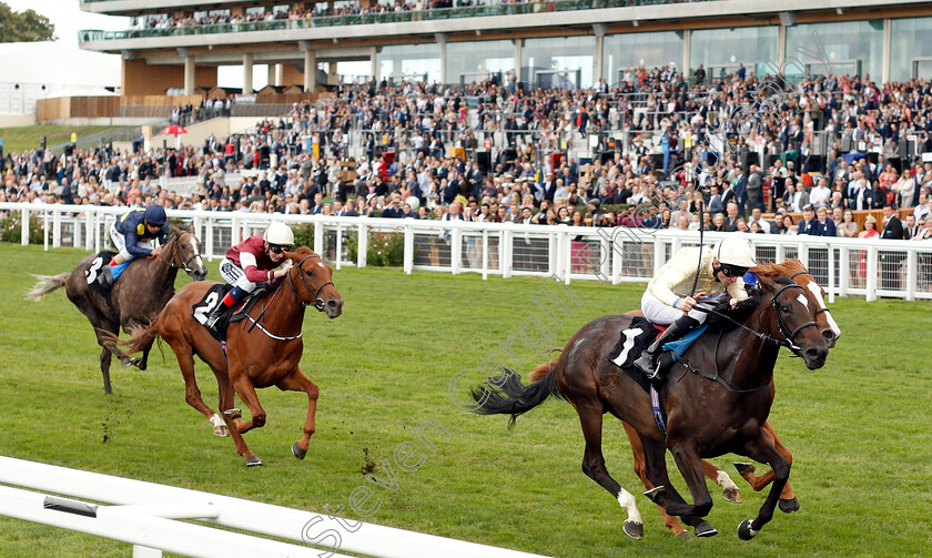 Shambolic-0002 
 SHAMBOLIC (Robert Havlin) wins The Royal Foresters British EBF Fillies Novice Stakes
Ascot 8 Sep 2018 - Pic Steven Cargill / Racingfotos.com