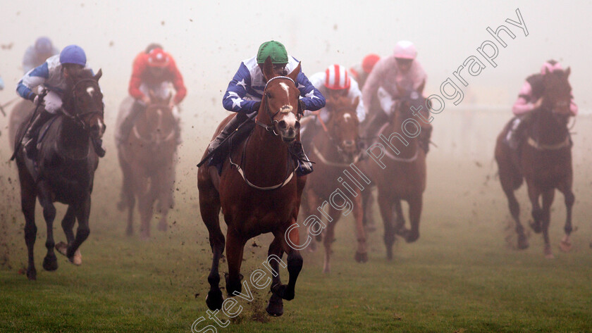 Tipperary-Tiger-0002 
 TIPPERARY TIGER (Ben Curtis) wins The Betfair Cock O'The North EBF Maiden Stakes
Doncaster 7 Nov 2020 - Pic Steven Cargill / Racingfotos.com