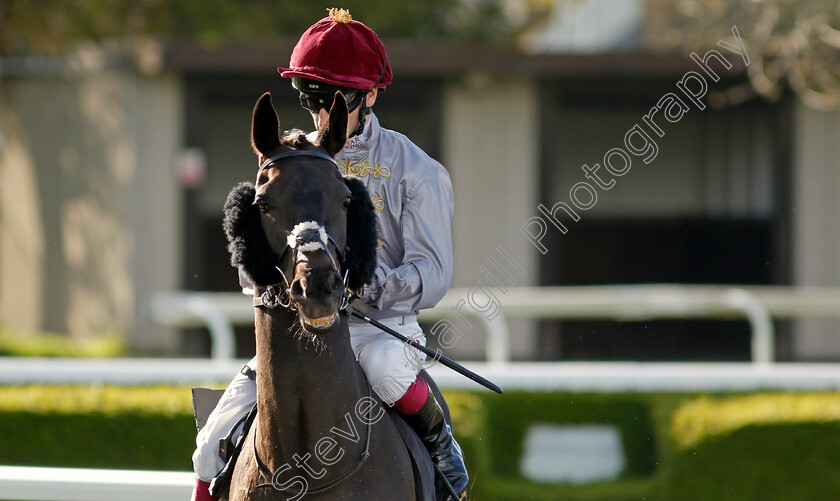 Al-Marmar-0001 
 AL MARMAR (Oisin Murphy)
Kempton 10 Apr 2023 - Pic Steven Cargill / Racingfotos.com