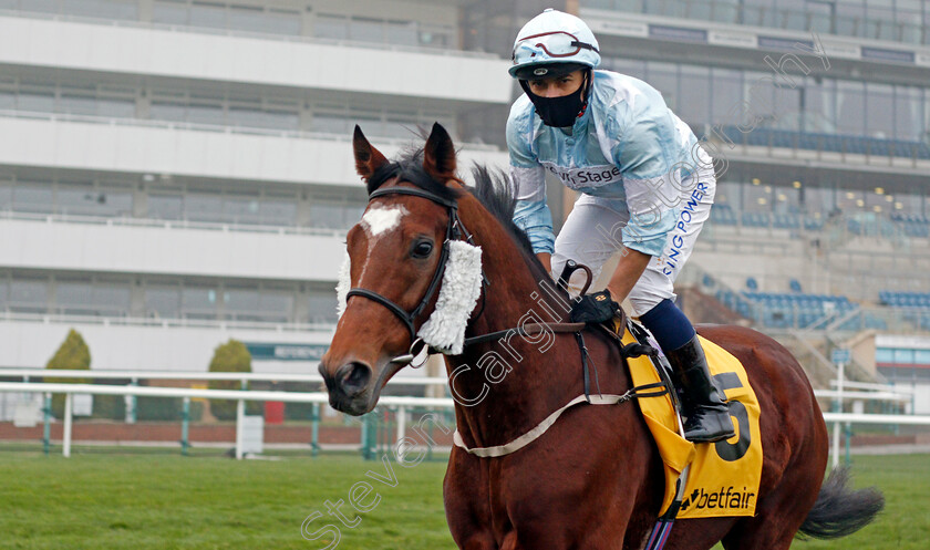 Indianapolis-0001 
 INDIANAPOLIS (Silvestre de Sousa)
Doncaster 7 Nov 2020 - Pic Steven Cargill / Racingfotos.com