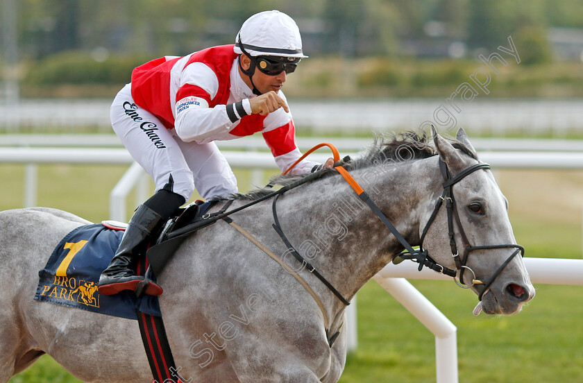 Duca-Di-Como-0001 
 DUCA DI COMO (Elione Chaves) wins The Tattersalls Nickes Minneslopning
Bro Park, Sweden 18 Sep 2022 - Pic Steven Cargill / Racingfotos.com