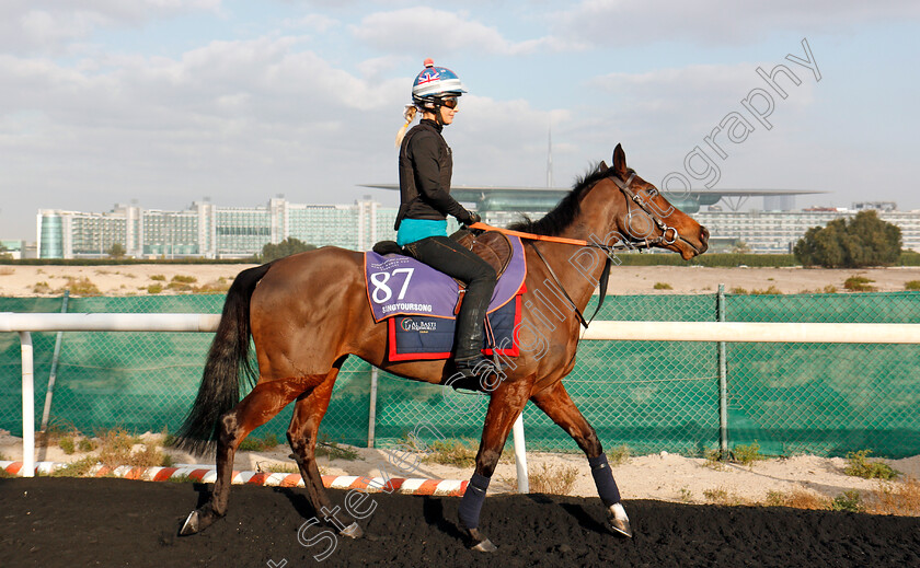 Singyoursong-0002 
 SINGYOURSONG, trained by David Simcock, exercising in preparation for The Dubai World Cup Carnival, Meydan 18 Jan 2018 - Pic Steven Cargill / Racingfotos.com