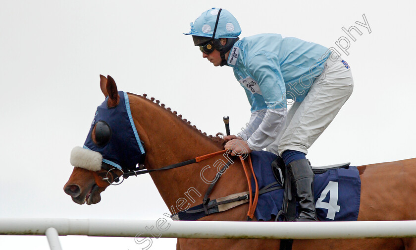 Another-Venture-0001 
 ANOTHER VENTURE (Ned Curtis)
Chepstow 7 Dec 2019 - Pic Steven Cargill / Racingfotos.com